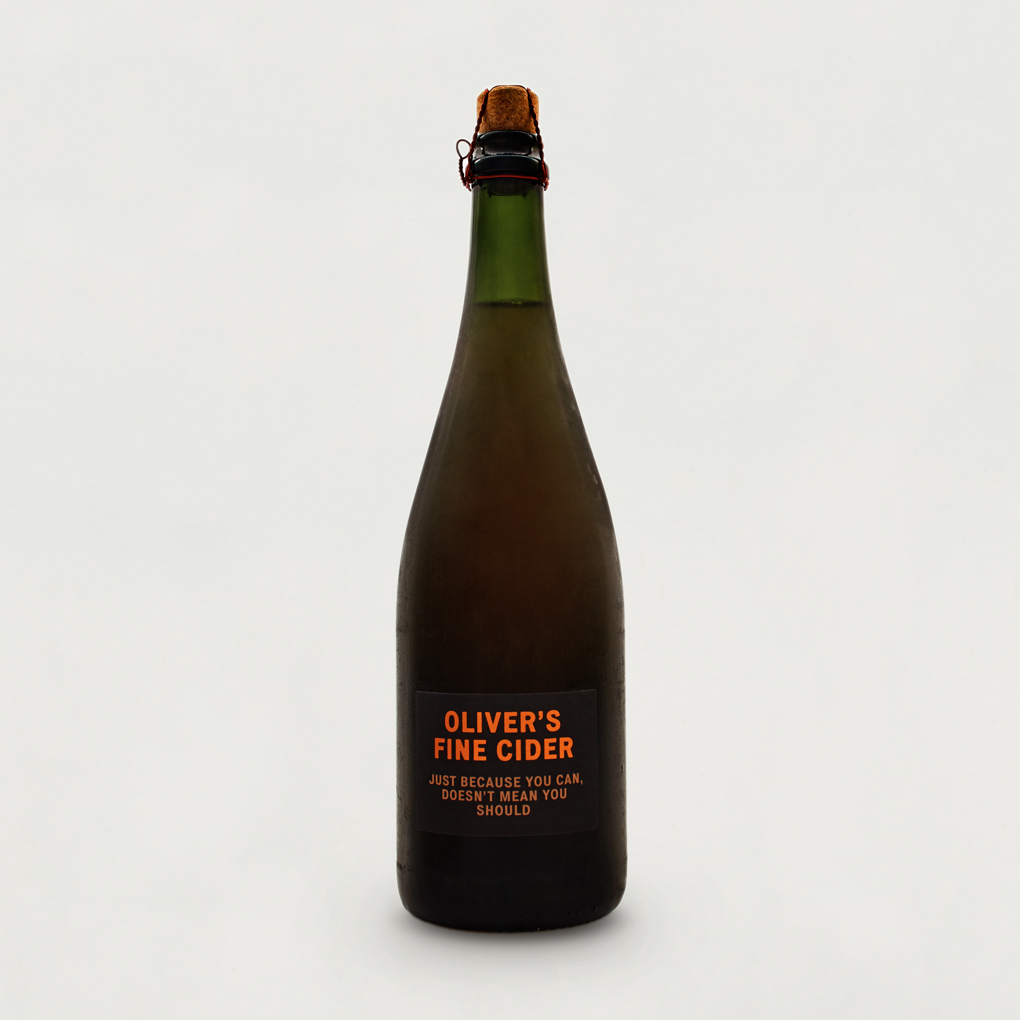 JUST BECAUSE YOU CAN DOESN'T MEAN YOU SHOULD-A BOTTLE CONDITIONED CIDER (750ml) 5.7%